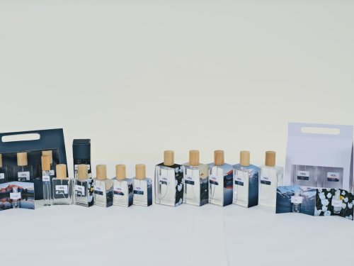 정윤아, 고나영