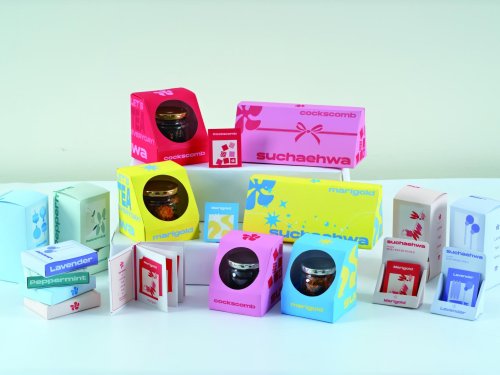 신채린, 이수진