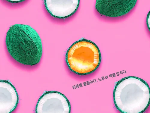 서하나, 김예슬, 최해수, 정지현